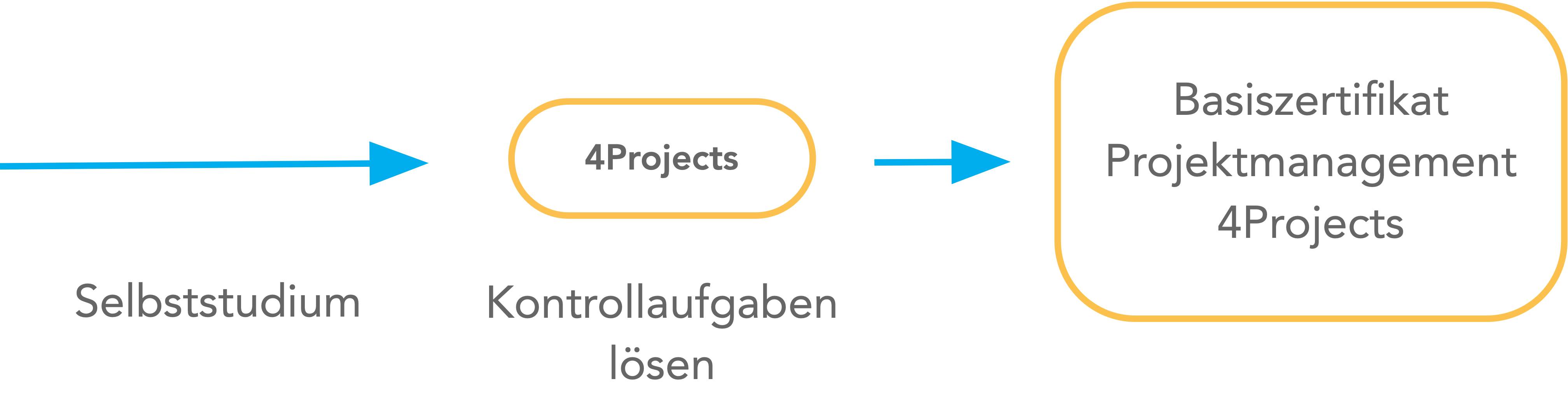 Lernmodell E-Learning Basiszertifikat Projektmanagement 4Projects